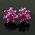 Factory For Sterling Silver Natural Ruby Stud Earring, Blue Topaz / Amethyst Ring, Brass Cz Jewelry