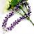 Sell Sterling Silver Natural Amethyst Bracelet, Olivine Earring, Tourmaline Ring, Blue Topaz Pendant