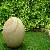 Landscape Products