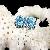 Sell Sterling Silver Natural Blue Topaz Stud Earring, Citrine Ring, Citrine Bracelet, Prehnite Ring