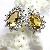 Sell Sterling Silver Natural Citrine Earring, Tourmaline Bracelet, Prehnite Pendant, Moonstone Ring