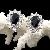 Sell Sterling Silver Natural Sapphire Earring, Amethystring, Earring, Tourmaline / Prehnite Pendant
