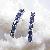 Sell Sterling Silver Natural Sapphire Stud Earring, Prehnite Ring, Jadeite Bracelet, Tourmaline Pend
