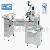 Automatic Disc Feeding High Speed Pillow Packing Machine