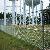 Chain Link Barbed Wire Fencing