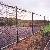 Expanded Metal Mesh Fence For Sale