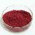 Vaccinium Myrtillus Extract Form Plamed