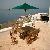 At Set-037. Outdoor Garden Rectangular Folding Set Teka Teak Furniture