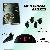 Wireless Led Parking Assist Sensors, Wireless Reversing Sensors