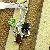Sell Sterling Silver Natural Mix Gem Pendant, Amethyst Ring, Tourmaline Earring, Olivine Bracelet