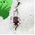 Sell Sterling Silver Natural Ruby Pendant, Sapphire Beacelet, Citrine Pendant, Olivine Earring