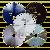 Diamond Laser Saw Blade, Saw Blade