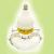 Induction Bulb / Electrodeless Lamp / Lvd Lamp / Lvd Induction Light