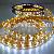 Waterproof Ip68 Led Strips, 300pcs 3528 Smd Leds Dc12v