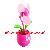 Usb Cutie Flower Fan
