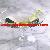 China Beach Glass Supplier