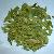 Senna Leaf P E