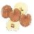 Reishi Mushroom Extract Powder