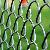 Manufature Chain Link Fence