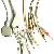 Fukuda Denshi Fx-3010 Ecg Cable From Ronseda