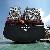 China To Melbourne Brisbane Sydney Ocean Freight Air Freight