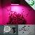 Mini 50w Led Grow Lights