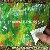 Pp Nonwoven Fabric With Colorful Laminating