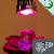 10w E27 Spot Plant Grow Light Lamp Red