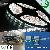 5050 High Output Led Flexible Strip Lighting