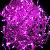 Certified Led Christmas Light Of China