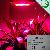 Led Grow Light To Stimulate Plant