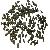 Carbide Saw Tips
