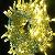 10m Led Holiday Lights