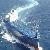 China To Monrovia Ocean Freight Air Sea Shipping Lcl Rate Qingdao Xiamen Ningbo Shenzhen Freight
