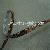 Sell Sideview Flex Led Strips From Prime International Lighting Co, Limited China