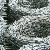 Galvanized Barbed Wire