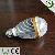 6w Led Bulb