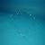 Lucite Food Tray