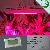 300w 1w, 2w Unit Led Led Grow Light