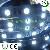 5050 Smd Led Strip Light Waterproof 12v