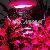 All Red 660 Nm 90 Watt Led Grow Light Ufo 4 Budding Flowering