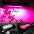 Indoor Led Grow Light