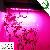 Led Grow Light / Lamp 120w