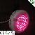 Ufo Grow Lamp