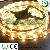 Warm White 12v Waterproof Flexible Led Strip 5050
