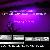 Waterproof Led Grow Light Strips