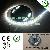 12v Black Light Led Strip