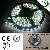 3528 Black Light Led Strip