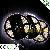 Flexible Smd 12v / 24v 3528 5050 Led Strip Light