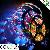 High Brightness Flexible 3528 Rgb Led Rope Light